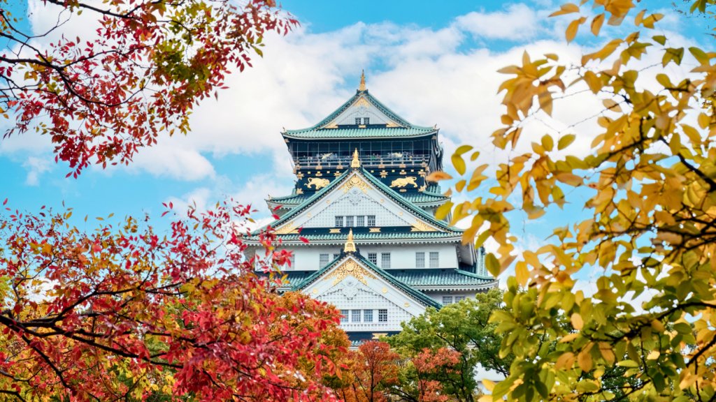 Osaka Castle framed by vibrant autumn foliage, showcasing its iconic white walls, green rooftops, and golden accents against a bright blue sky.