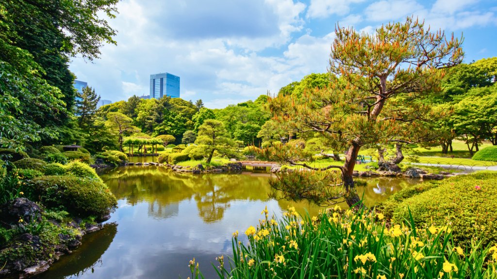 Shinjuku Gyoen National Garden in Tokyo, Japan, featuring a tranquil pond, lush greenery, and traditional Japanese landscaping with a city skyline in the background.