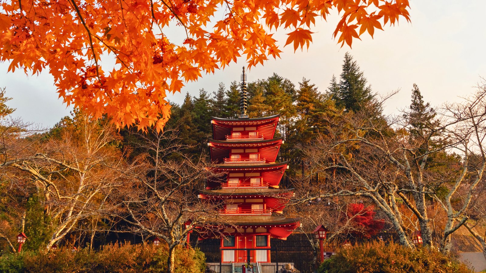 Chureito Pagoda framed by vibrant autumn foliage in Japan, showcasing brilliant red maple leaves and a scenic mountain backdrop during the fall season.