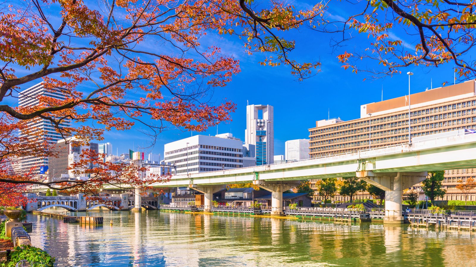 Scenic view of Nakanoshima in Osaka, Japan, with autumn foliage, a calm river reflecting city buildings, and a bridge under a clear blue sky.